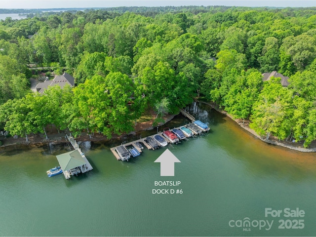 4646 Eagle Pointe Ct, Denver, NC 28037 - photo 37