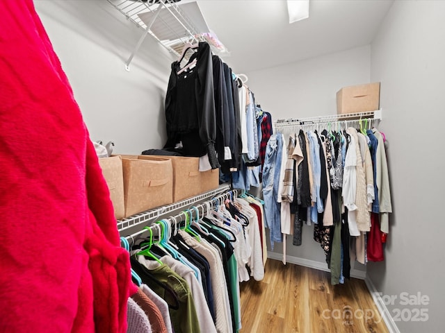 14802 Rolling Sky Dr, Charlotte, NC 28273 - walk in closet with wood finished floors