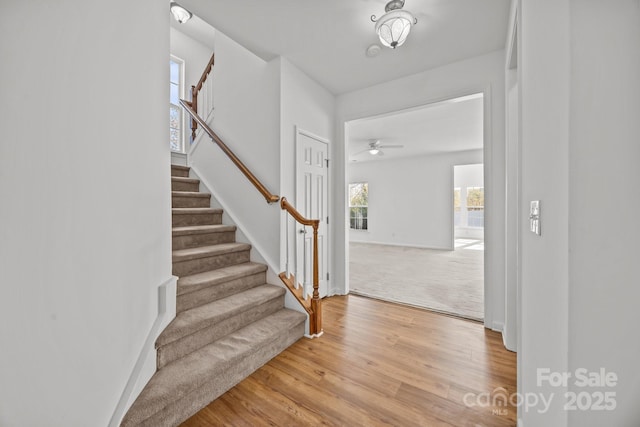 staircase featuring wood finished floors and ceiling fan