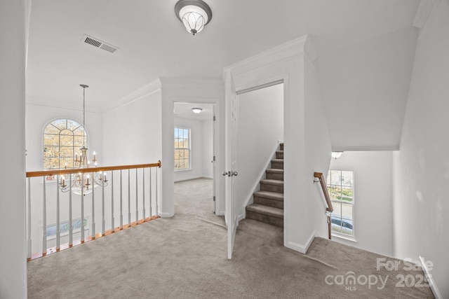 stairway featuring visible vents, crown molding, baseboards, carpet floors, and an inviting chandelier