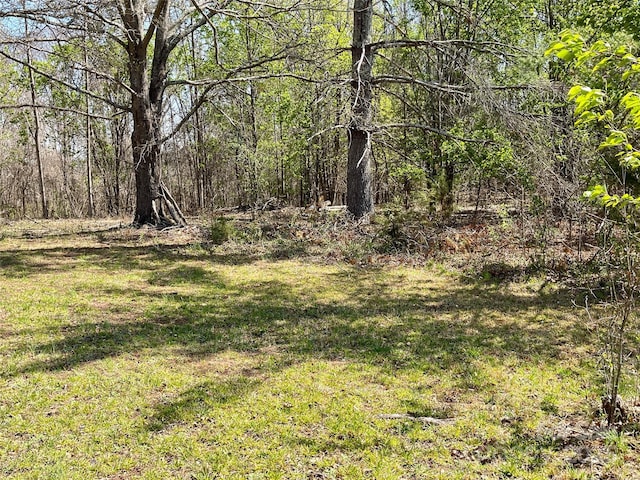 576 Grays Creek Church Rd, Rutherfordton, NC 28139 - photo 17