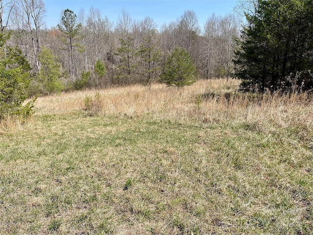 576 Grays Creek Church Rd, Rutherfordton, NC 28139 - photo 19