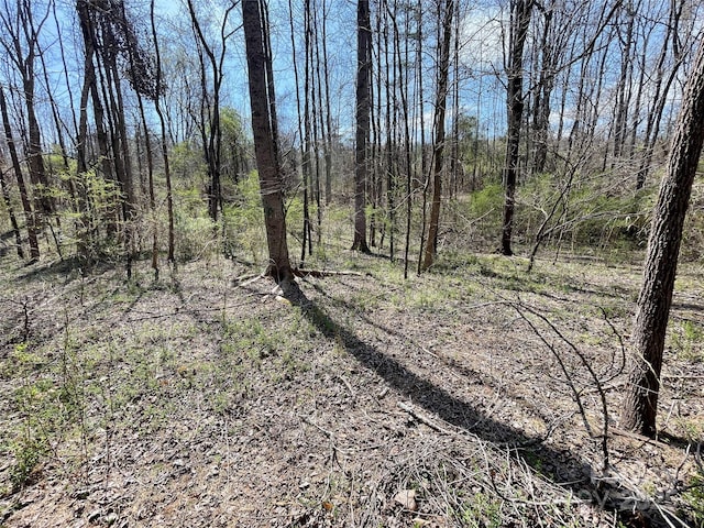 576 Grays Creek Church Rd, Rutherfordton, NC 28139 - photo 20