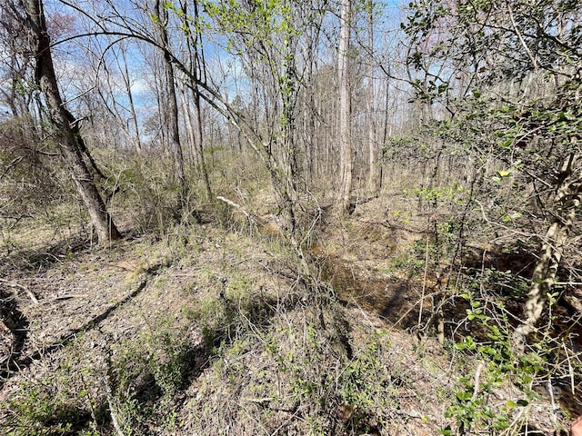 576 Grays Creek Church Rd, Rutherfordton, NC 28139 - photo 21