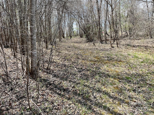 576 Grays Creek Church Rd, Rutherfordton, NC 28139 - photo 22