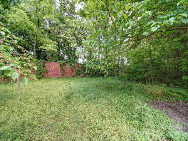 2300 Kennesaw Dr, Charlotte, NC 28216 - view of yard