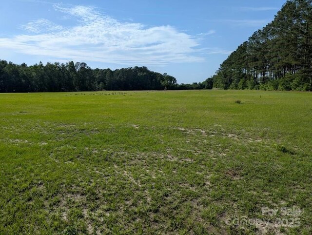 2128 N Fifth St, Hartsville, SC 29550 - photo 2