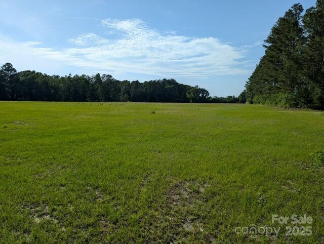 2128 N Fifth St, Hartsville, SC 29550 - photo 5