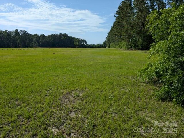 2128 N Fifth St, Hartsville, SC 29550 - photo 6