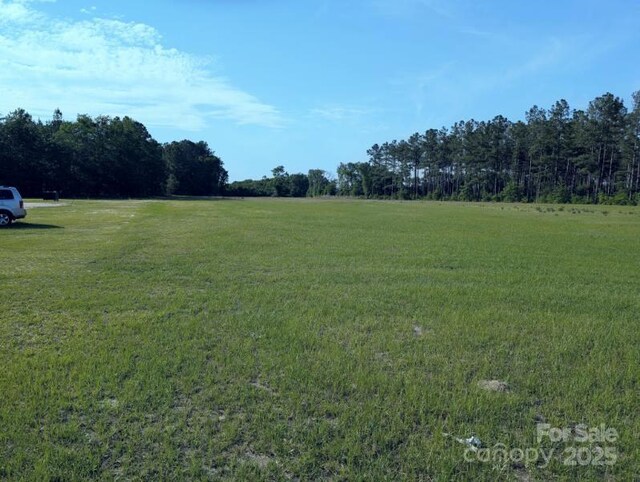 2128 N Fifth St, Hartsville, SC 29550 - photo 8