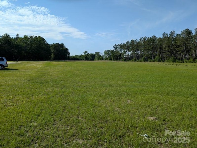 2128 N Fifth St, Hartsville, SC 29550 - photo 9