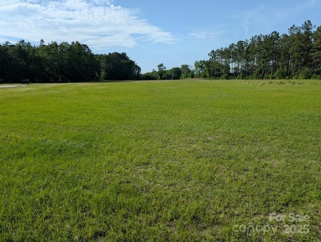 2128 N Fifth St, Hartsville, SC 29550 - photo 10