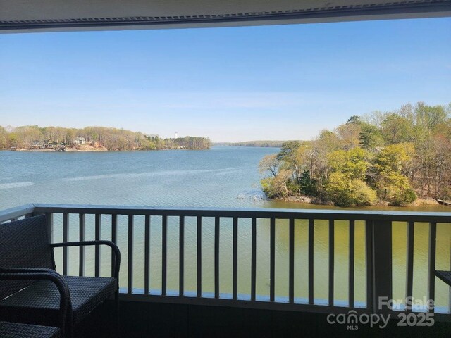 9808 Emerald Point Dr Unit 10, Charlotte, NC 28278 - photo 11