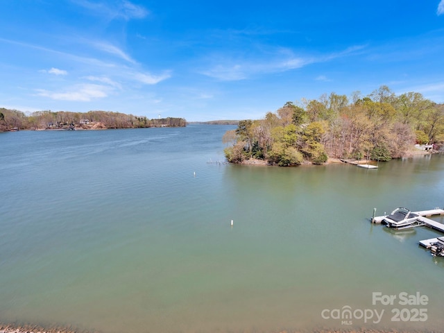 9808 Emerald Point Dr Unit 10, Charlotte, NC 28278 - photo 13