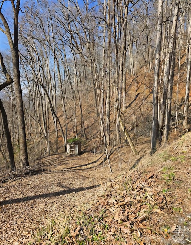 32 Black Mountain Rd, Cullowhee, NC 28723