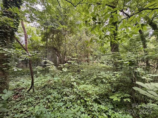 2015 C Ave, Charlotte, NC 28216 - photo 8