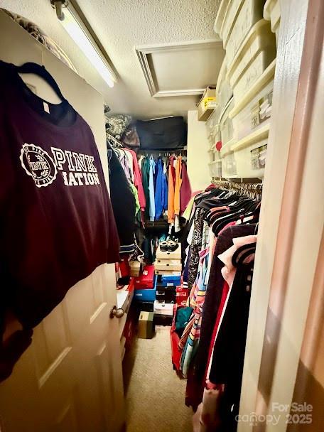 walk in closet with attic access and carpet flooring