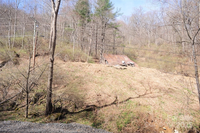 00 Coxes Creek Rd, Burnsville, NC 28714