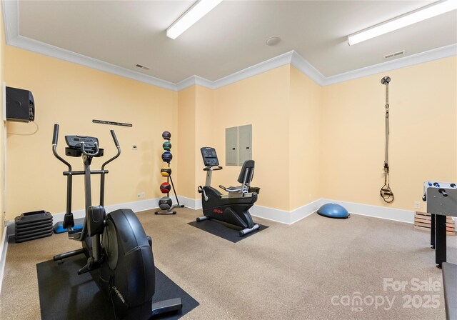 18420 Rosapenny Rd, Charlotte, NC 28278 - exercise room with ornamental molding, baseboards, and carpet flooring