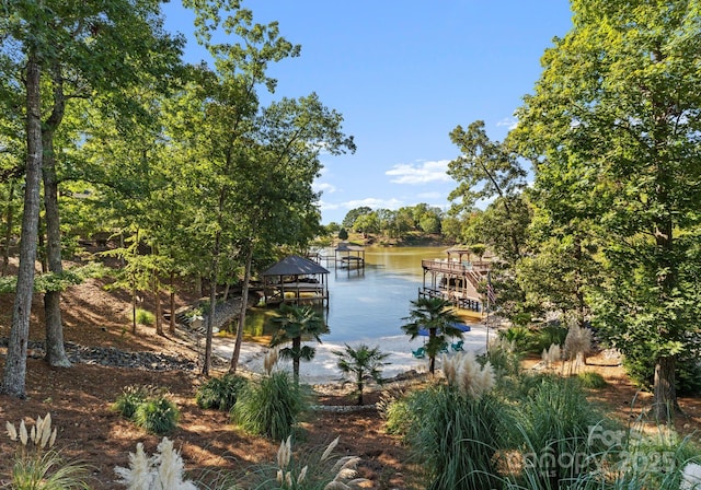 18420 Rosapenny Rd, Charlotte, NC 28278 - water view with a boat dock