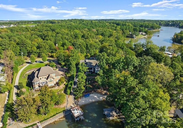 18420 Rosapenny Rd, Charlotte, NC 28278 - view of property location featuring a heavily wooded area and a nearby body of water
