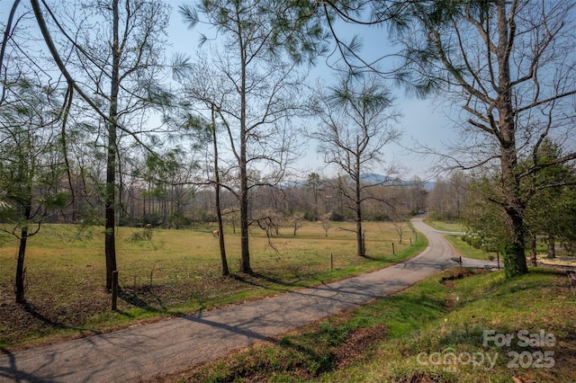 163 Woodland Dr, Columbus, NC 28722 - photo 5
