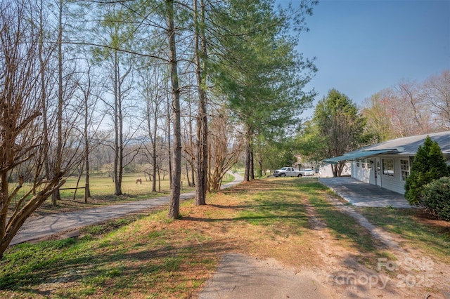 163 Woodland Dr, Columbus, NC 28722 - photo 4