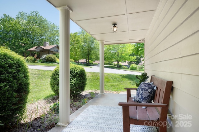 36 Elderberry Ln Unit C, Asheville, NC 28805 - photo 3