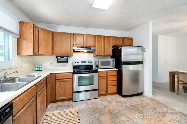 36 Elderberry Ln Unit C, Asheville, NC 28805 - photo 9