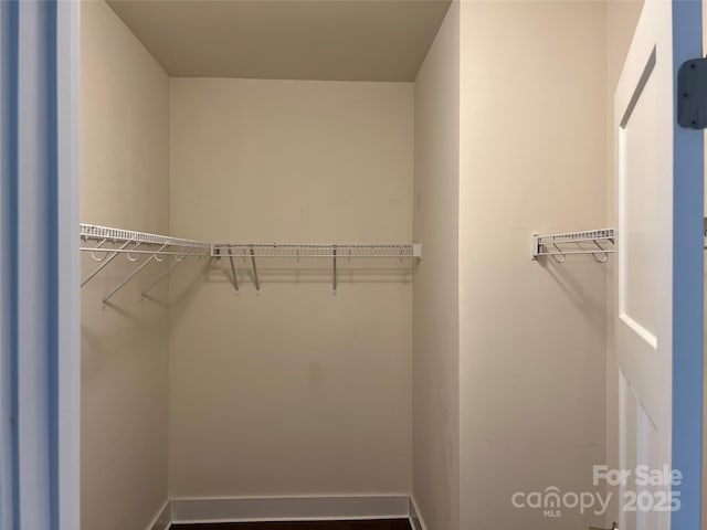 view of spacious closet