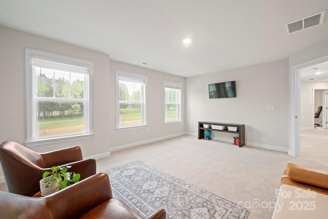 19412 Bird Meadow Dr, Huntersville, NC 28078 - photo 24