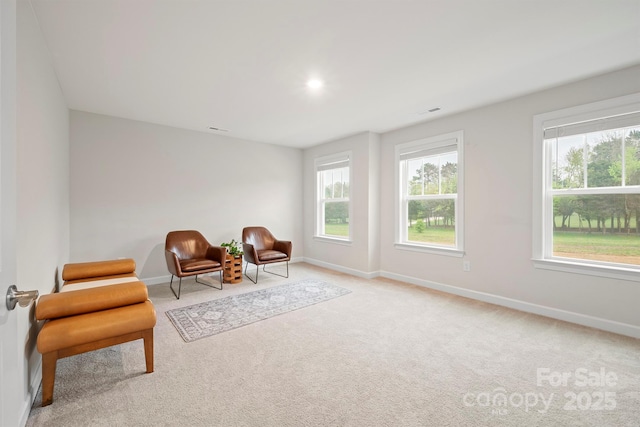 19412 Bird Meadow Dr, Huntersville, NC 28078 - photo 25