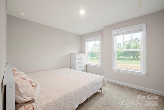 19412 Bird Meadow Dr, Huntersville, NC 28078 - photo 33