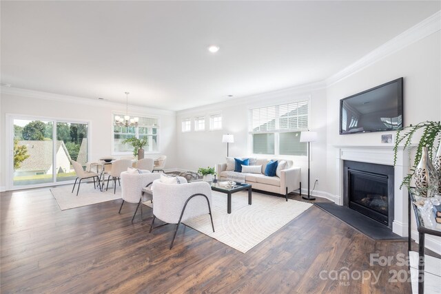 living room with a chandelier, a glass covered fireplace, dark wood-style flooring, and crown molding