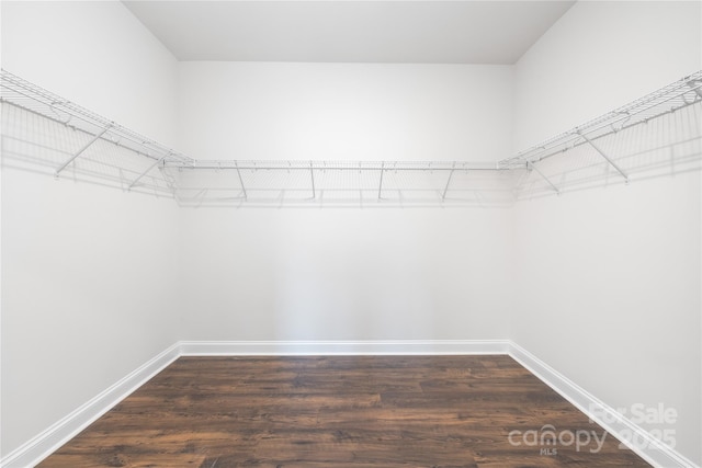 walk in closet with dark wood-type flooring