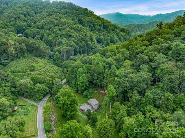 2670 E Fork Rd, Marshall, NC 28753 - photo 1