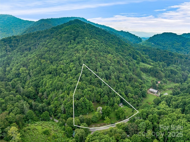 2670 E Fork Rd, Marshall, NC 28753 - photo 48