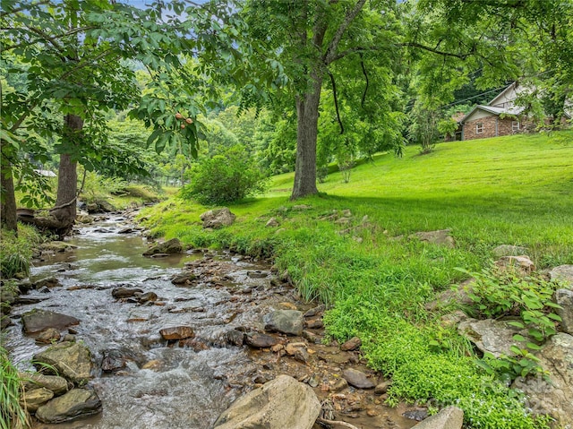 2670 E Fork Rd, Marshall, NC 28753 - photo 46