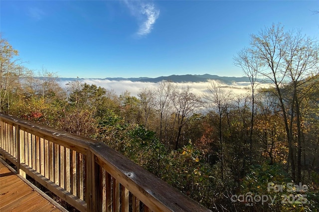 view of mountain feature