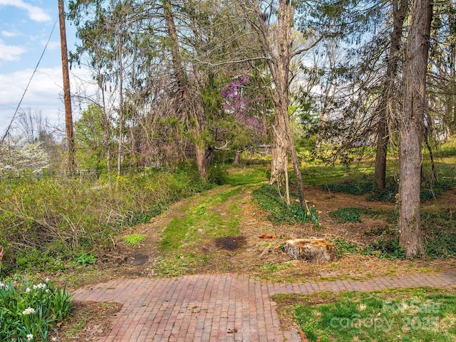 99999 Cumberland Ave Unit 2, Asheville, NC 28801 - photo 5