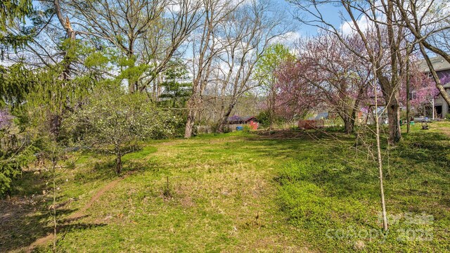 99999 Cumberland Ave Unit 2, Asheville, NC 28801 - photo 6