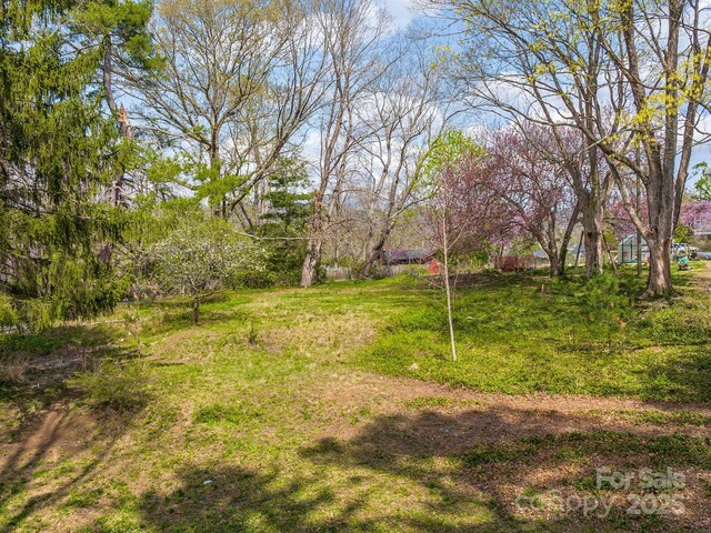 99999 Cumberland Ave Unit 2, Asheville, NC 28801 - photo 7