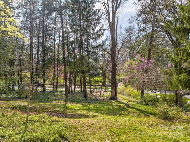 99999 Cumberland Ave Unit 2, Asheville, NC 28801 - photo 9