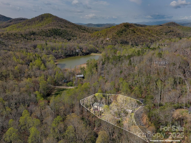 1469 Old Fort Rd, Fairview, NC 28730 - aerial overview of property's location with property boundaries highlighted and a water and mountain view