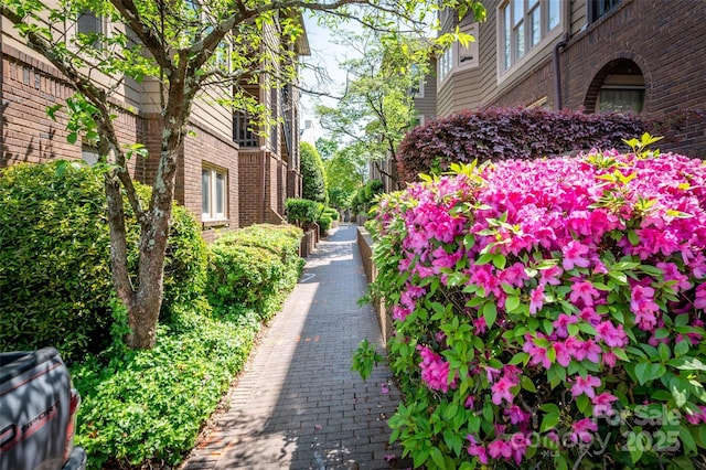 1101 E Morehead St Unit 31, Charlotte, NC 28204 - photo 1