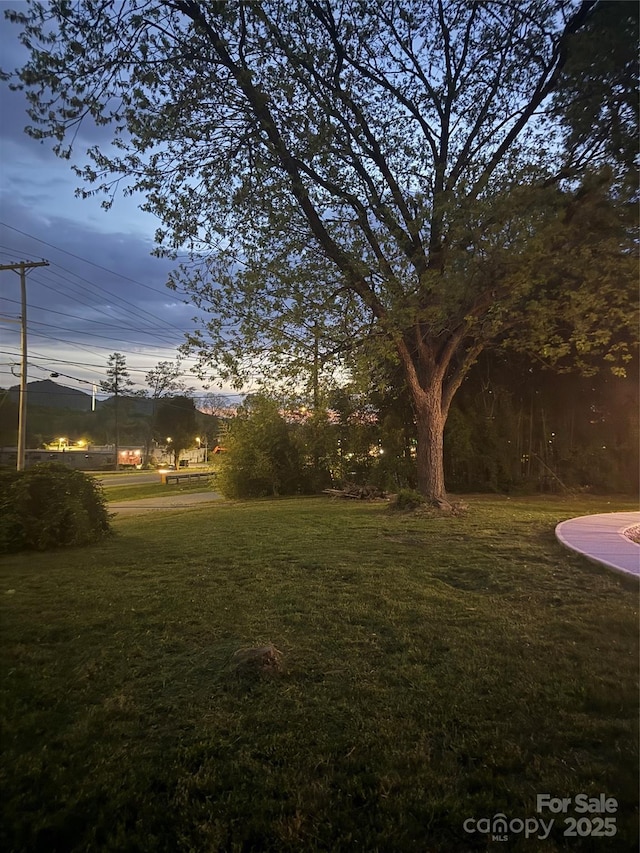 view of yard