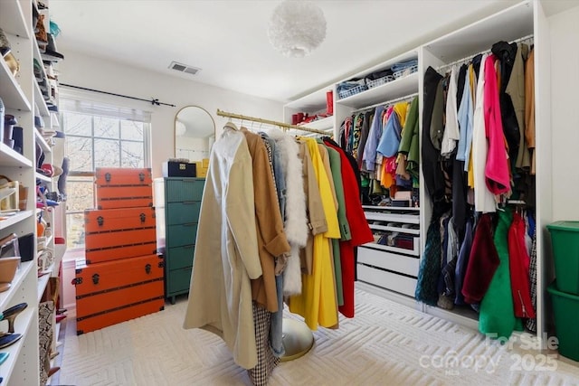 spacious closet with visible vents