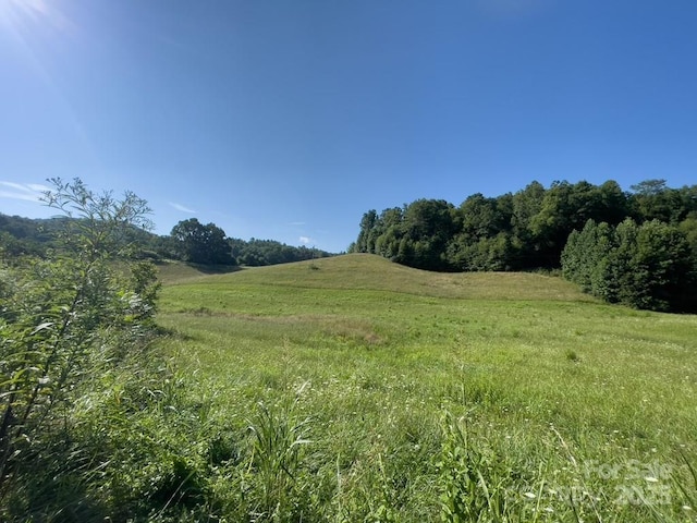 view of local wilderness featuring a rural view
