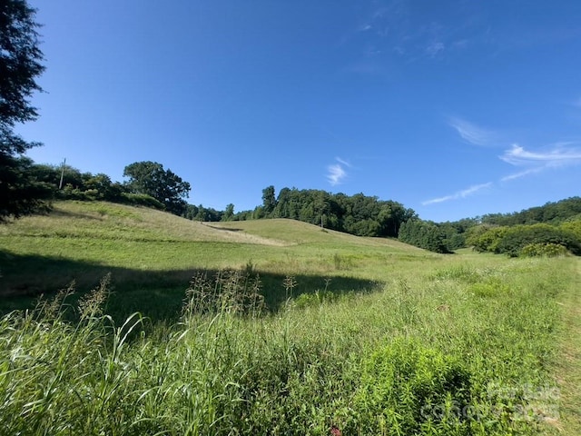 view of local wilderness
