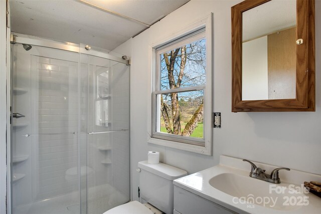full bathroom featuring vanity, toilet, and a shower stall